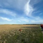 Hébergement de vacances L'air Marin